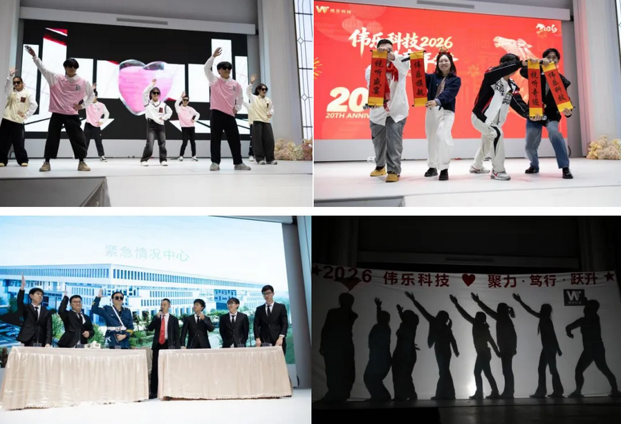 伟乐科技2025年会节目